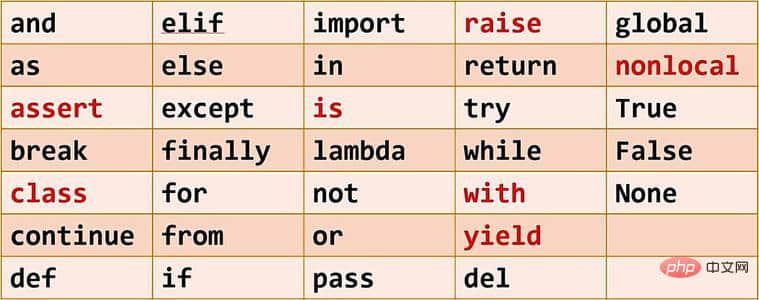 python-33.jpg