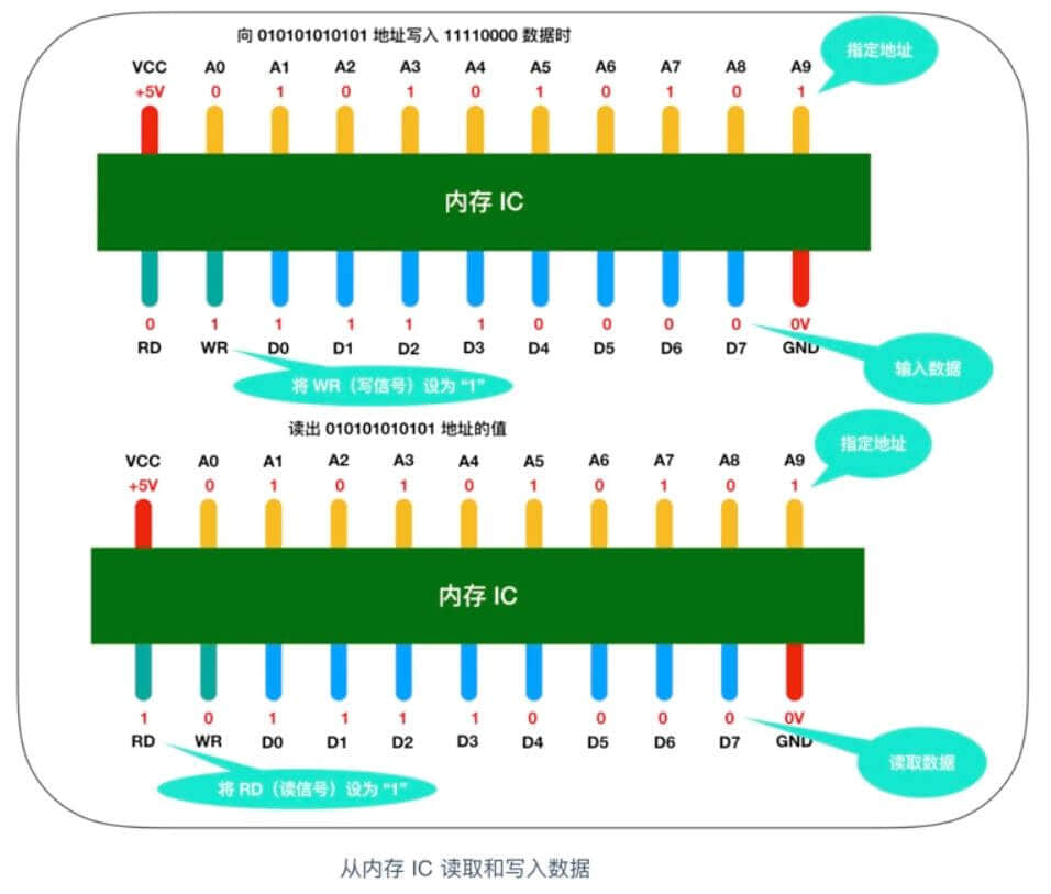 什么是内存？内存和 CPU 如何进行交互？