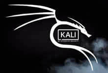 黑客专用系统 Kali Linux